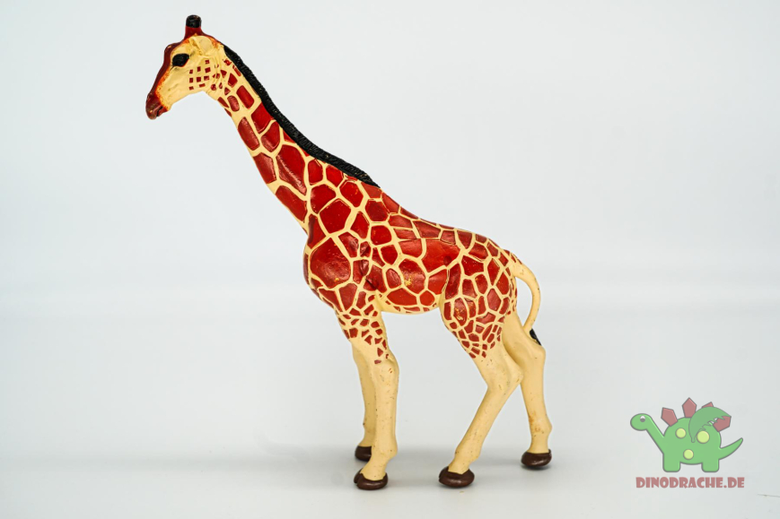 Papo Wild Life Tiere im Set   50215 + 50157 + 50096